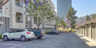 Windsor Lofts at Universal City Gallery 25