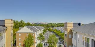 Summerfield at Morgan Metro Gallery 25