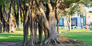 835 S OSPREY AVENUE Gallery 42