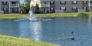 Square at Latham Park Gallery 4