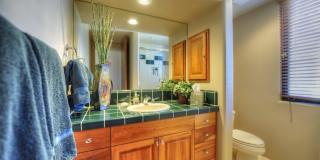 10277 E NOLINA Trail Gallery 17