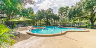 Laurel Oaks Gallery 19