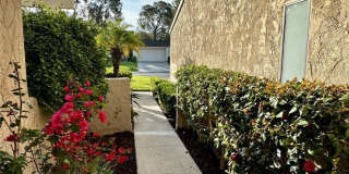 24335 Park Place Drive Gallery 10