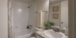 Biltmore Biltmore Gallery 36