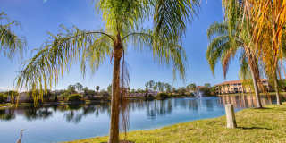 Annual Unfurnished 3rd Floor Condo in L Pavia with Community Pool! Gallery 32