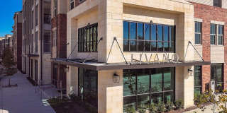Livano Prosper Gallery 48