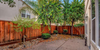 Stunning Updated 3 Bedroom Home in Desirable Tassajara Meadows Across from Emerald Glen Park Stunning Updated 3 Bedroom Home in Desirable Tassajara Meadows Across from Emerald Glen Park Gallery 40