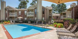 Pine Hills Gallery 26