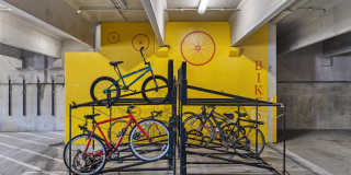 The Shelby - Alexandria Gallery 5