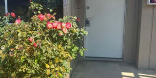 620 E 19th Avenue Gallery 1