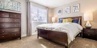 Avana Star Lake Gallery 53