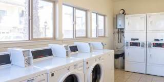 3 Bedroom Unit Available! Gallery 15