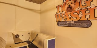 Sidney Sidney Gallery 9