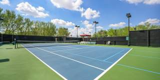 80586 Camino Santa Juliana Gallery 39