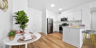 The Elinor Gallery 32