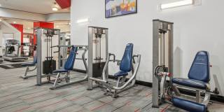 The Saxony Apartments The Saxony Apartments Gallery 55