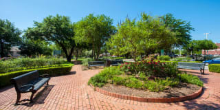 Durham Heights Gallery 60