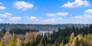 The Pine Gallery 26
