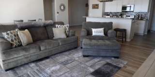 3255 Silver Saddle Dr Gallery 8