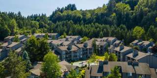 Avana West Hill Gallery 44