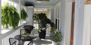 Charming cottage near downtown Pensacola! Gallery 5