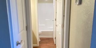 Carmel Woods Gallery 8