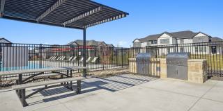 Canvas at Anna Gallery 31