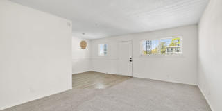 Palmetto Square Gallery 20