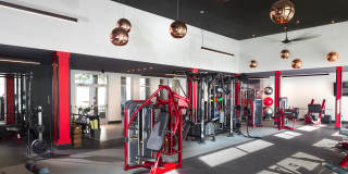 Gallery at Domain Gallery 33