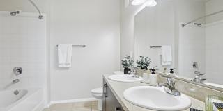 The Ellis Gallery 36