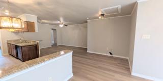 Leon Valley Gem!! Gallery 32