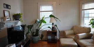 16 Norwood St Gallery 3