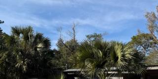 Newly renovated 3 bed 2 bath home in private area Gallery 1