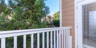 Emerson at Cherry Lane Gallery 44