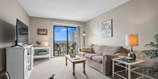 Close to the beach Gallery 22