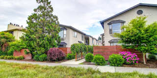 Alki 12 Apartments Gallery 12