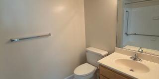 Northgate Gallery 281