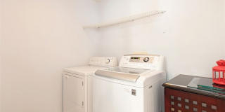 19 Tennessee Gallery 20