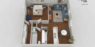 Spring Pine Gallery 38