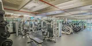 2697 N Ocean Boulevard unit: F-604 Gallery 53