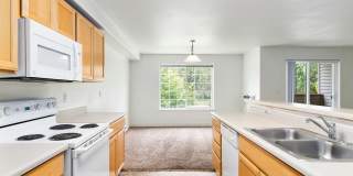 Rock Springs Gallery 14