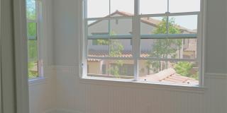 132 Island Coral Gallery 26