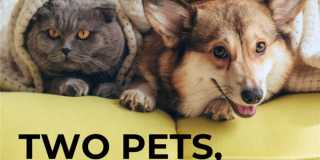 The Shoreline Apartments The Shoreline Apartments Gallery 33