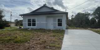 Brand new 2/1 -LARGE BACK YARD- LEHIGH ACRES Gallery 3