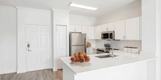 Gables Grand Plaza Apartments Gallery 60