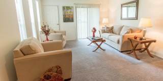 Forest Creek Gallery 9