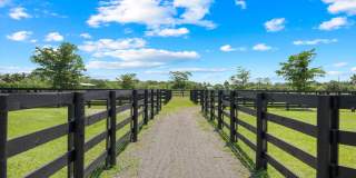16175 Deer Path Lane Gallery 23