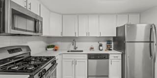 Chestnut Hill Village Gallery 1