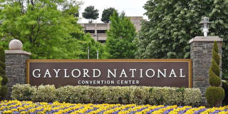 5815 ARBROATH DR Gallery 38