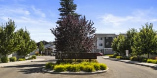 Mirabolante Apartments Gallery 31